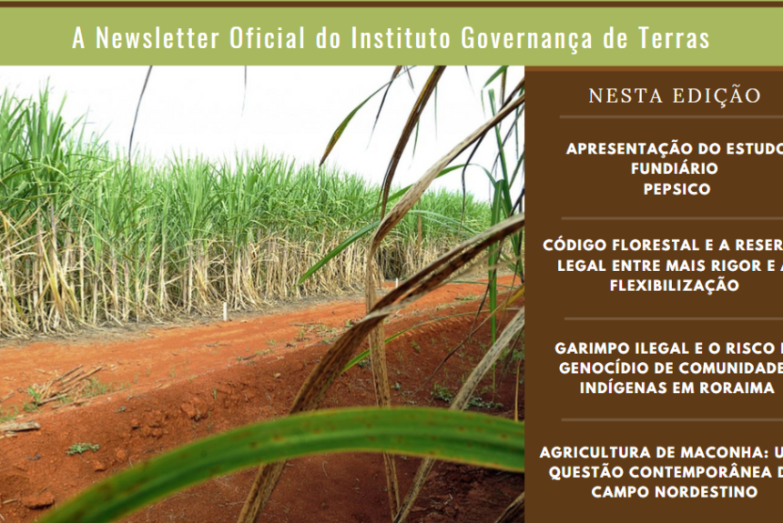 Ed 23 IGTNews – Edição 23 – 22 Fevereiro 2021